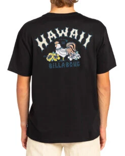 Billabong T-shirt Pour Homme Arch Dreamy Place - BLACK 7 Billabong T-shirt Pour Homme Arch Dreamy Place - BLACK -SeaRide ARCH DREAMY PLACE SS 0 268904 1