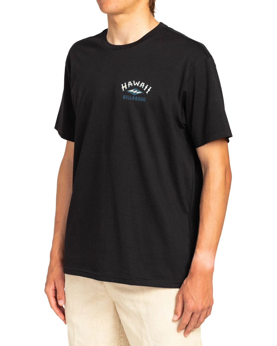 Billabong T-shirt Pour Homme Arch Dreamy Place - BLACK 4 Billabong T-shirt Pour Homme Arch Dreamy Place - BLACK – Image 2