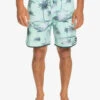 Boardshort Quiksilver SURFSILK SCALLOP 18 - Beach Glass