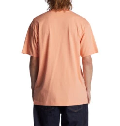 T-SHIRT POUR HOMME DC SHOES DC STAR - Papaya Punch 7 T-SHIRT POUR HOMME DC SHOES DC STAR - Papaya Punch -SeaRide DCSTARPOCKETHSS M TEES 0 270205 1