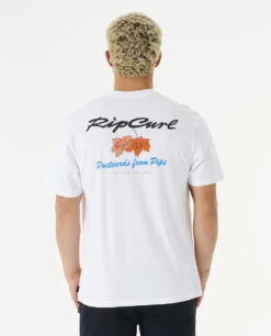 Ripcurl T-shirt Rip Curl POSTCARDS HIBISCUS TEE - White 7 Ripcurl T-shirt Rip Curl POSTCARDS HIBISCUS TEE - White -SeaRide POSTCARDS HIBISCUS TEE 0 258658 1