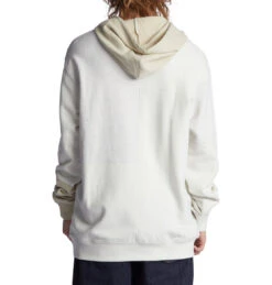 SWEAT À CAPUCHE DC SHOES ROGERS - Lily White -SeaRide ROGERS M OTLR 0 270199 1