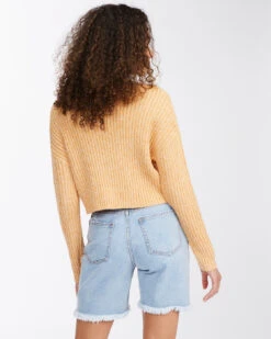 Pull Billabong SPRING FLING - MARIGOLD -SeaRide SPRING FLING 0 245112 1