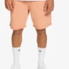 Short En Molleton Quiksilver Trip Away - Cafe Creme