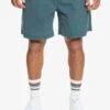 Short Taille élastique Pour Homme Quiksilver Taxer - Midnight Navy