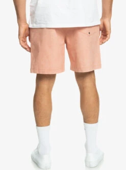 Short Taille élastique Pour Homme Quiksilver Taxer - Cafe Creme -SeaRide TAXER WS 0 271160 1